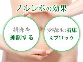 ノルレボの効果