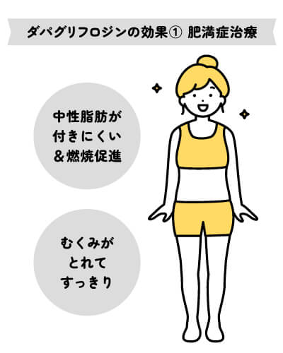 ダパグリフロジンの効果①肥満症治療