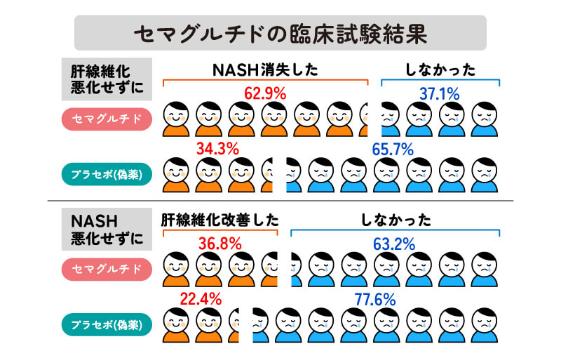 セマグルチドの臨床試験結果（ウゴービ・代謝機能障害関連脂肪肝炎）