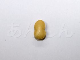 タドラの錠剤