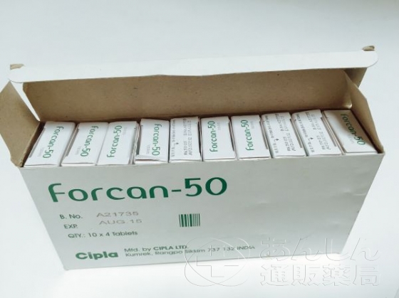 フォルカンの口コミ画像