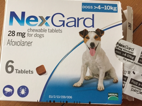 ネクスガード(犬用)の口コミ画像