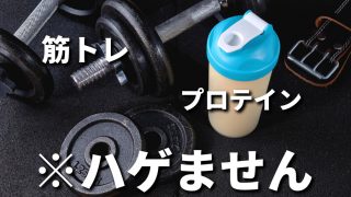 【なぜそうなった】筋トレとプロテインでハゲるというのは真っ赤な嘘