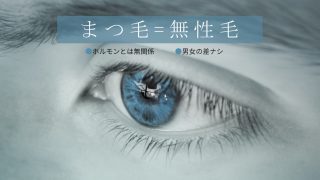 まつ毛は男性・女性ホルモンの影響を受けない無性毛です。