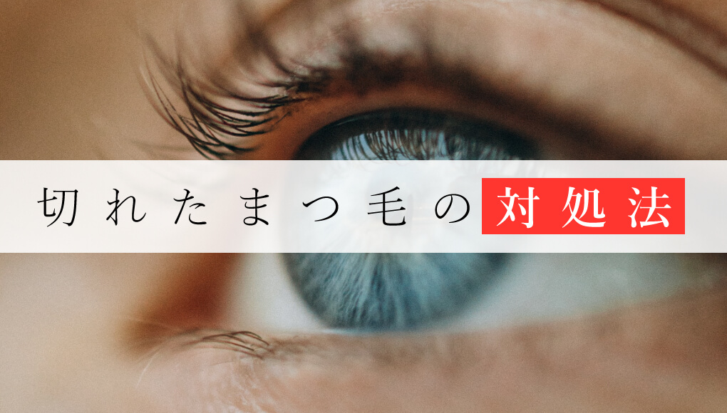 切れたまつ毛は4ヶ月で伸びる 対処法は待つこと 枝毛やチリチリも あんしん通販マートのwebマガジン